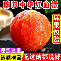 Blood Orange Fruit Chinese red orange Freshly picked red heart orange Fresh seasonal Zigui red meat Navel orange Pregnant woman seasonal fruit