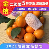 Guangxi Yangshuo oil skin kumquat non-melting crispy kumquat Guilin fresh fruit orange 5kg