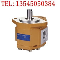 L version CBF-E510 514 516 520 525 532 540-ALPL Hefei Changyuan gear pump