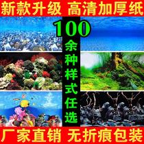 Fish tank wallpaper background paper painting HD picture 3d fish tank decoration background painting double-sided landscape coral stone background board