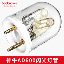 Shenniu AD600B BM M outside lamp AD-H600 split lamp holder 600W flash lamp bulb