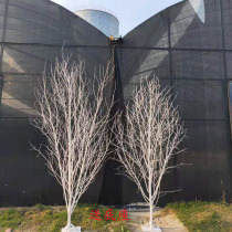 Dry twigs Birch twigs Birch tree decoration White twigs Hotel window decoration modeling tree Kindergarten decoration twigs