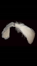 Swan Lake Headdress Feather Headdress Ballet costume Accessories Headdress