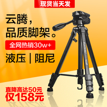 Cloud Teng 691 single counter camera tripod hydraulic damping applicable camera Nikon Canon can Sony photo tripod live trembling sound shooting short video tripod head mobile phone micro single portable bracket