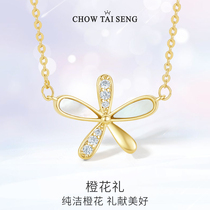 Zhou Daseng five petal flower necklace female flower choker light luxury niche design sense S925 sterling silver jewelry sweater chain