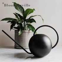  Denmark Bloomingville Sprinkler Watering Pot Gardening supplies Plant watering Stainless steel gold-plated Nordic