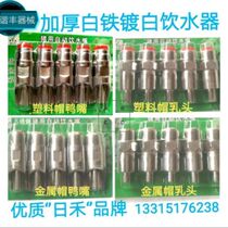 Japanese pig drinking water fountain pig mouth pig bite nozzle thick stainless iron plated white water nozzle automatic drinking water fountain