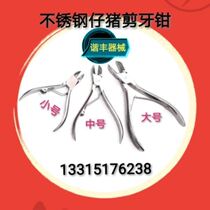 Piglet stainless steel tooth cutting forceps for piglets