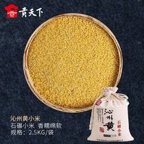  Shanxi specialty millet Qinzhou Huangshi milled yellow millet 2 5kg millet grains small yellow rice new rice