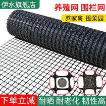 Plastic mesh breeding net Geogrid Orchard fish pond protection net Rodeo net manure leakage net Chicken and duck fence net