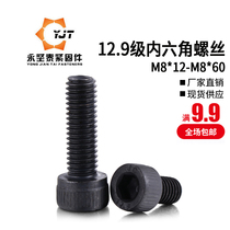 M8 12 Grade 9 high strength screw cylindrical head hexagon socket socket head flat tail screw bolt screw