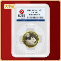 Tianzhongjin 2019 Pig year Zodiac circulation commemorative coin Package rating coin New Year Pig Year Zodiac coin