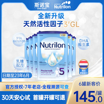 Dutch Bull Bar 5 Paragraphs * 6 Canned Milk Powder Original Bottling Imported Infant Milk Powder Nou Eng 5 paragraphs with 3 paragraphs 4 paragraphs