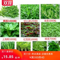 Should Season Balcony Easy to grow vegetables Seeds seeds Four Seasons Vegetable Seed Package Courtyard Balcony Basin to grow rapeseed Fat