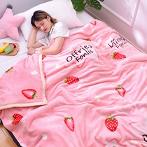  Double bed Single quilt cover Spring and autumn summer plush book Summer summer single small air conditioning thin section