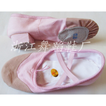 Professional adult teacher shoes Soft bottom with ethnic dance shoes Gymnastics Shoes Cat Paw Shoes Canvas Practice Shoes