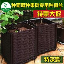  Simple rectangular vegetable garden flowers and plants Household outdoor vegetable planting box Plantation forest potted gardening terrace dishes