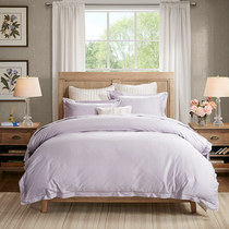 Harbor House Xinjiang Cotton 100pcs Cotton Plain Embroidery Four-piece Set Bedding Essential