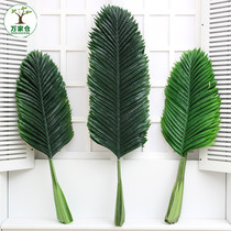 Simulation plant loose tail sunflower leaves tropical leaf palm tree leaf living-room decorated plantain leaf photo prop coconut leaves