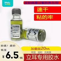 Depherd Dogs Ears Corrective Lieware Ear Distance Bracket Todubin Alaska Big Danear Stickler Special Glue