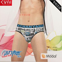 Chuangyano Modal fabric youth mens underwear 86079 comfortable mens breifs teenage mens underwear 2 Price