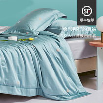 80S Tencel jacquard air-conditioning quilt summer embroidery summer cool quilt four-piece quilt core sheets can be washed double thin quilt