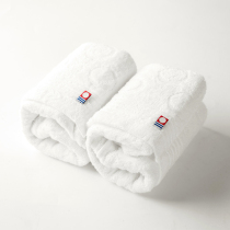 Japan imported Jinzhi cotton towel skin-friendly strong absorbent face bath towel baby available gift box 2 packs
