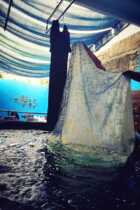 Plant dyeing Custom dyeing Custom processing