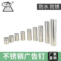 Stainless steel advertising nail decorative nail glass nail Billboard acrylic nail stainless steel mirror nail fixing nail