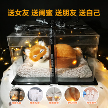 Birthday gift girls exquisite special to send girlfriends girlfriends ritual girls practical students customized advanced sense