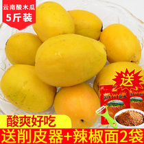 Yunnan papaya sour papaya fruit 5 pounds Yunnan Dali specialty marinated fresh sour papaya pregnant fruit