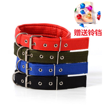 Dog Supplies Item Circle Neck Ring Teddy Gold Wool Pet Foam Neck Ring Dog Chain Dog Rope Small Canine Large Dog Versatile