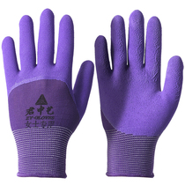 Labor and labor insurance foam work wear-resistant code Lady rubber small work breathable Wang non-slip thin latex gloves