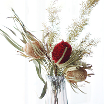 (Mountain tree) imported Nordic colorful pagoda pushion flower natural dry flower retro flower window Photography