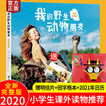 (Buy one get two free )Genuine My Wild Animal Friends full version Tippid Grey childrens storybook Non-Zhuyin 6-9-12 years old 12 years old ji Primary school extracurricular books Man and nature Animal world