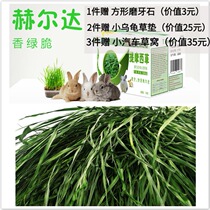 21-year New Grass Heldatimothy Grass Nanti Dutch Pig Pasture Rabbit Eat Hay Chinatown Gross Weight 1KG