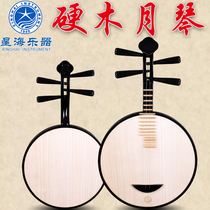 Beijing Xinghai 8211R hardwood Yueqin musical instrument national musical instrument Peking opera accompaniment delivery accessories official authorization