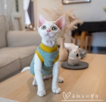  GINGERAIN HAIRLESS CAT CLOTHES Devon Konis Tianzhu cotton cotton thin vest