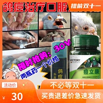 Treatment of pigeon of ge yao encyclopedia of Hanover pigeon of disease-resistant drug bird pox pigeons medicine internal and external