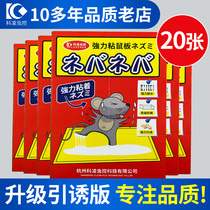 Rat-catching stick strong sticky rat board glue Strong household medicine dip rat-killing device Rat-catching artifact nest end 20 sheets