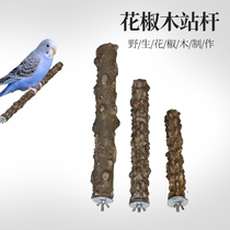 Pepper wood station pole Xuanfeng myna thrush embroidered eye budgerigar grinding claw stick bird stand stick stand bird cage accessories