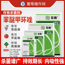  Syngenta Segao 10%Phenylether methylcyclazole Black spot disease powdery mildew rust anthrax pesticide plant fungicide