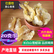 Snow Clam oil Forest frog oil Northeast Changbai Mountain specialty 20g forest frog conjoined oil Snow clam cream Snow clam dried whole