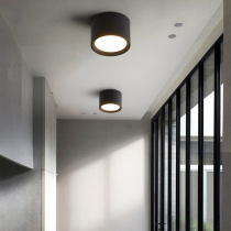 Black and white gray minimalist style surface mounted downlight Household aisle light free opening living room highlight lighting ceiling decoration