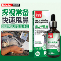 Gleride Dove Drug Magic Hogemon Zhang Mouth Breathe Unbrisk Cough And Sneeze Respiratory Dove Medicine A Sneeze Respiratory Dove Medicine