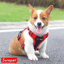 Dog Traction Rope Faux Doggie Gold Mullabrador Vest Type Chest Strap With Large Dog Walking Dog Rope Chain Sub