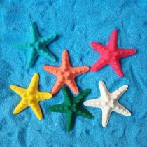 Simulation 6cm starfish tank decoration creative micro landscape accessories jewelry marine shell conch seabed baby
