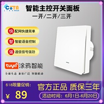 Graffiti Intelligent WIFI Switch Home Control Panel Sky Cat Elf Small Degree Remote Double Control Free patch
