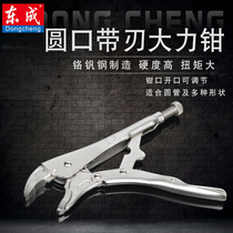 Dongcheng Vigorously Pliers 10-inch multifunction automatic fast fixed grip pliers round mouth with sharp control pliers