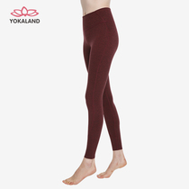 Youkalian Yoga Clothing Womens ankle-length pants Warm Tight Stretch Slim Sports Fitness Pants BPW272